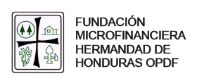 Microfinancieras (3)