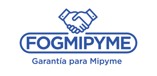 fogmipyme